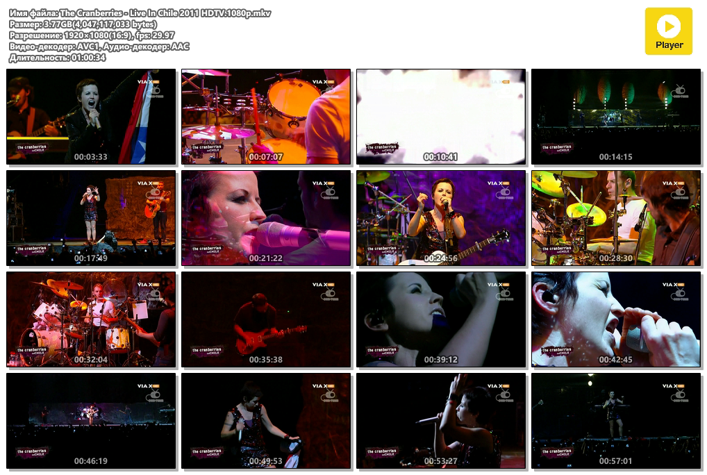 The Cranberries - Live In Chile 2011 HDTV.1080p.mkv.png