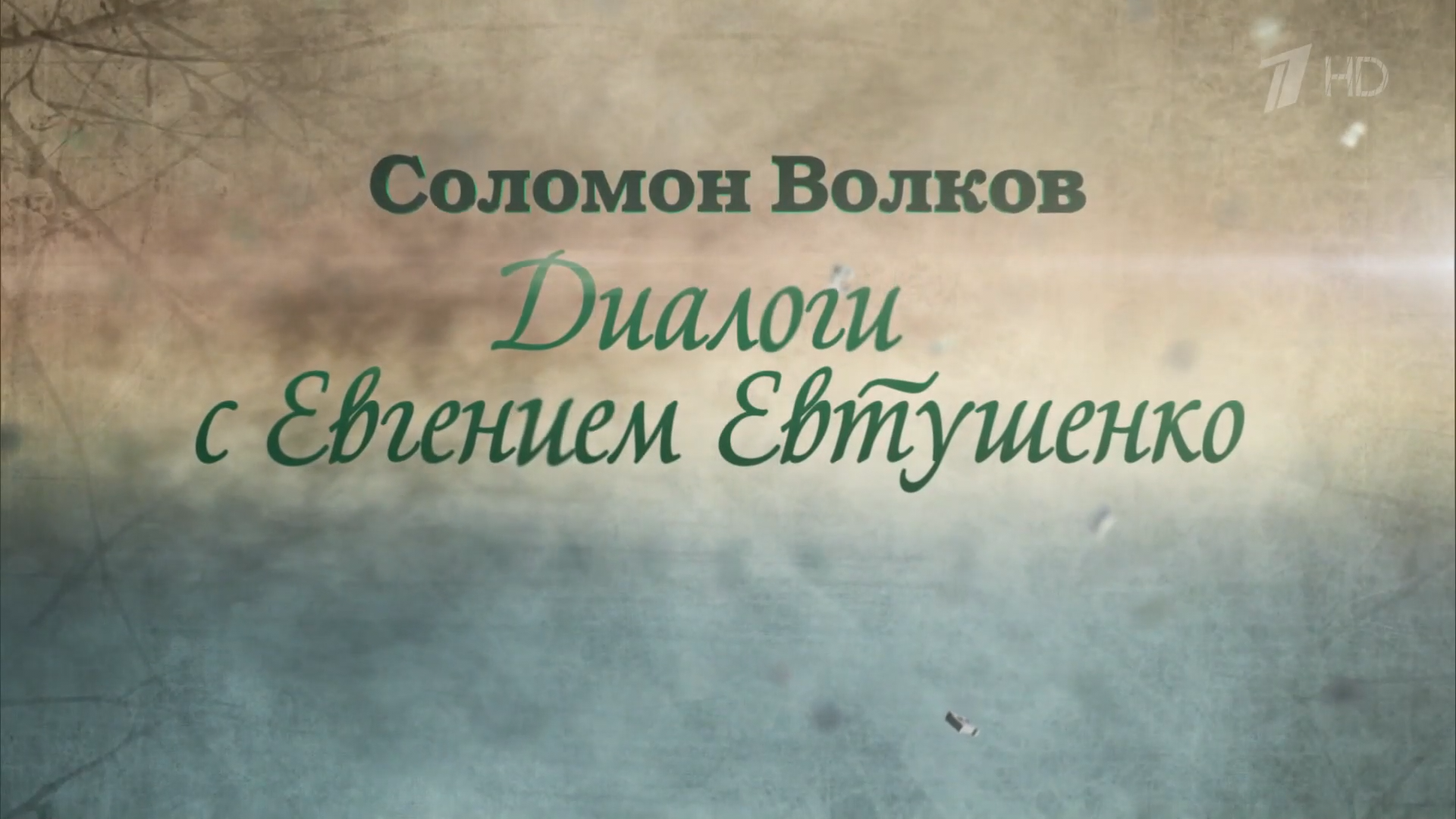 01.Диалоги.с.Евтушенко.2013.HDTV.1080p-ylnian.mkv_snapshot_00.04.32.480.png