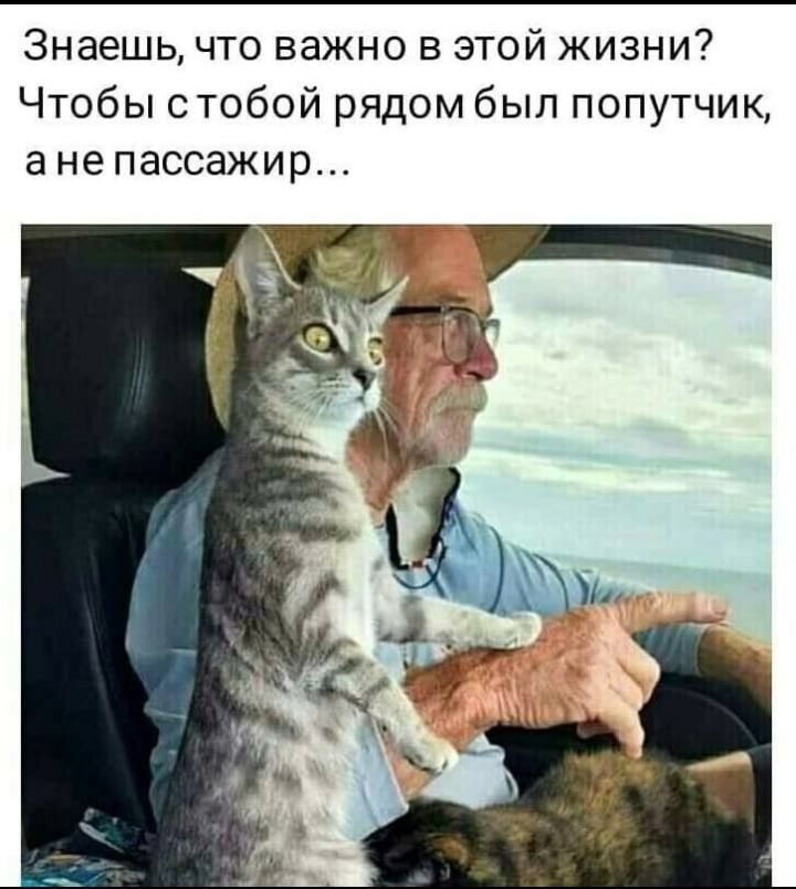 lWEMDUwZRzU.jpg