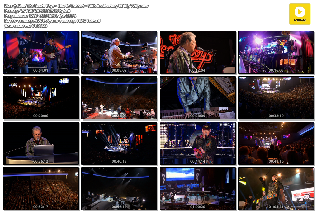 The Beach Boys - Live in Concert - 50th Anniversary BDRip 720p.mkv.png