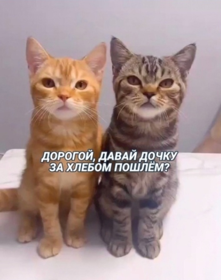 p01.jpg