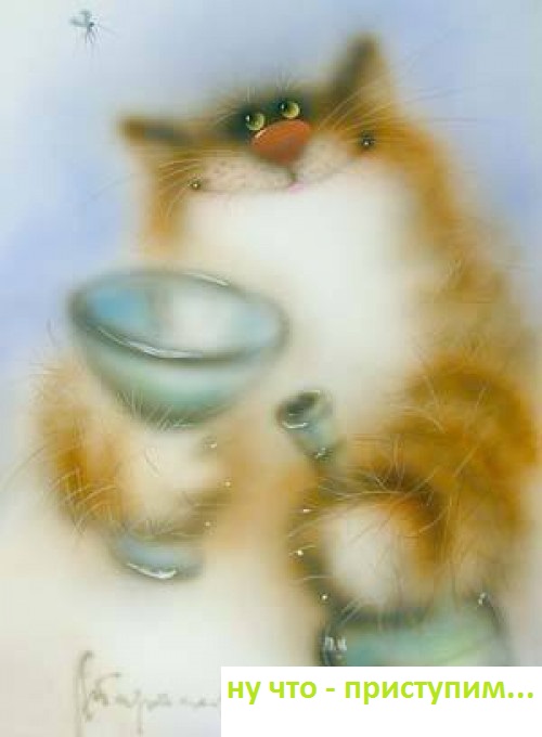 кот.jpg