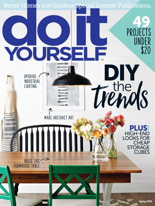 Do It Yourself 2016-2 Spring.jpg