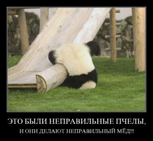 9893fd5ce67b5adeb3f4e78dbafe1221.jpg