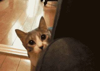 hello-there-friend.gif