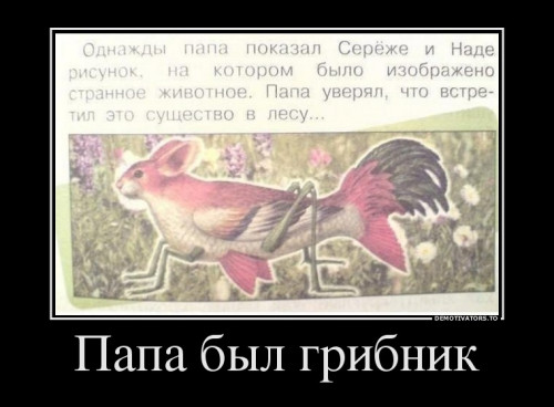 b76d513c68ede6628cddfdafc4b.jpg