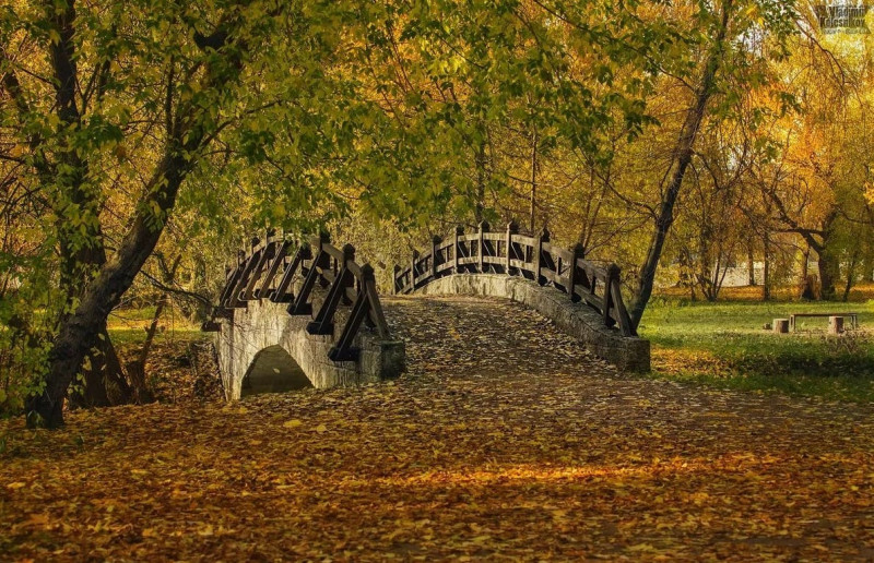 Парк Екатерингоф Санкт Петербург Фото