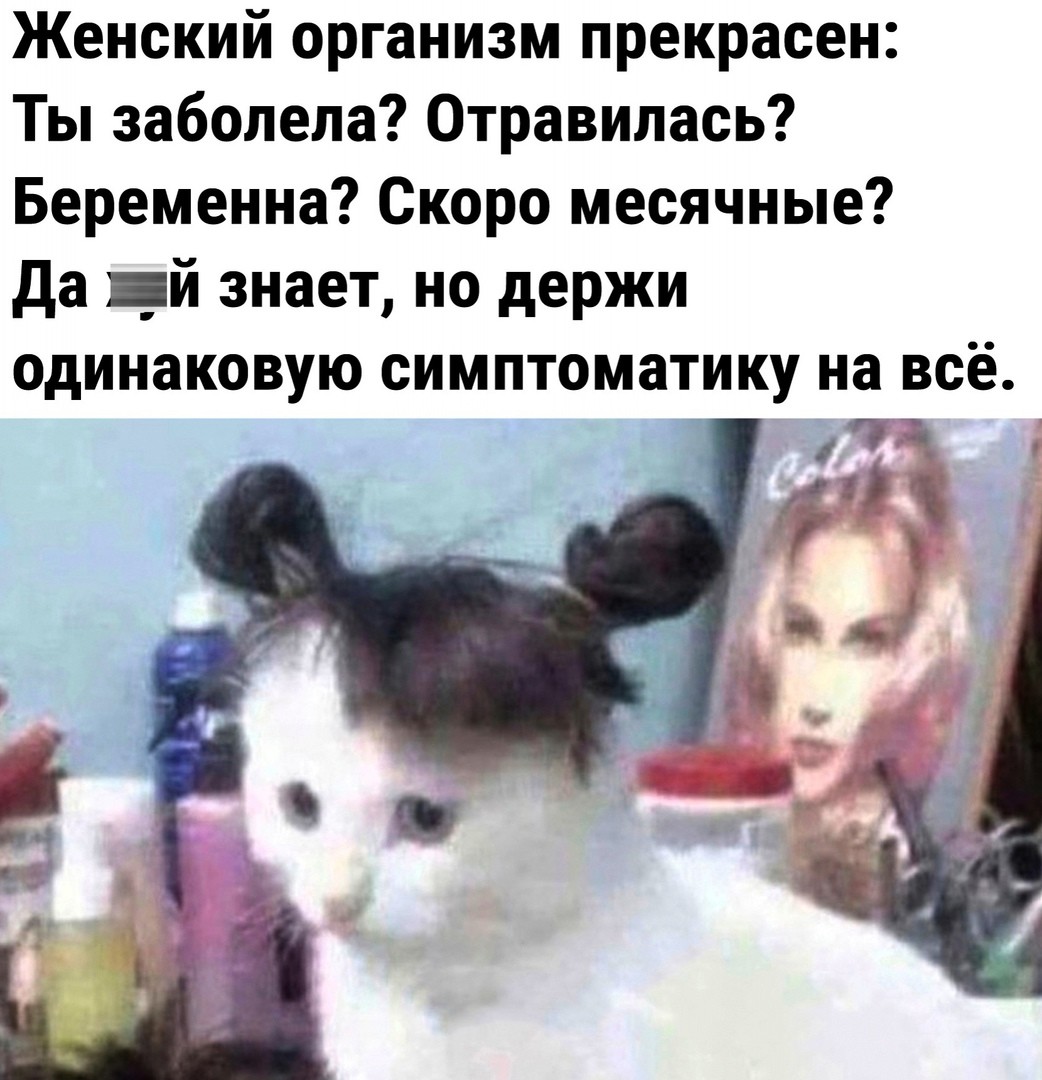 PWdNhTgLGMU.jpg