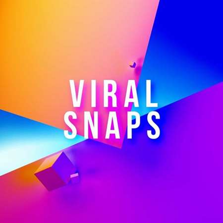 VA - Viral Snaps (2022) MP3