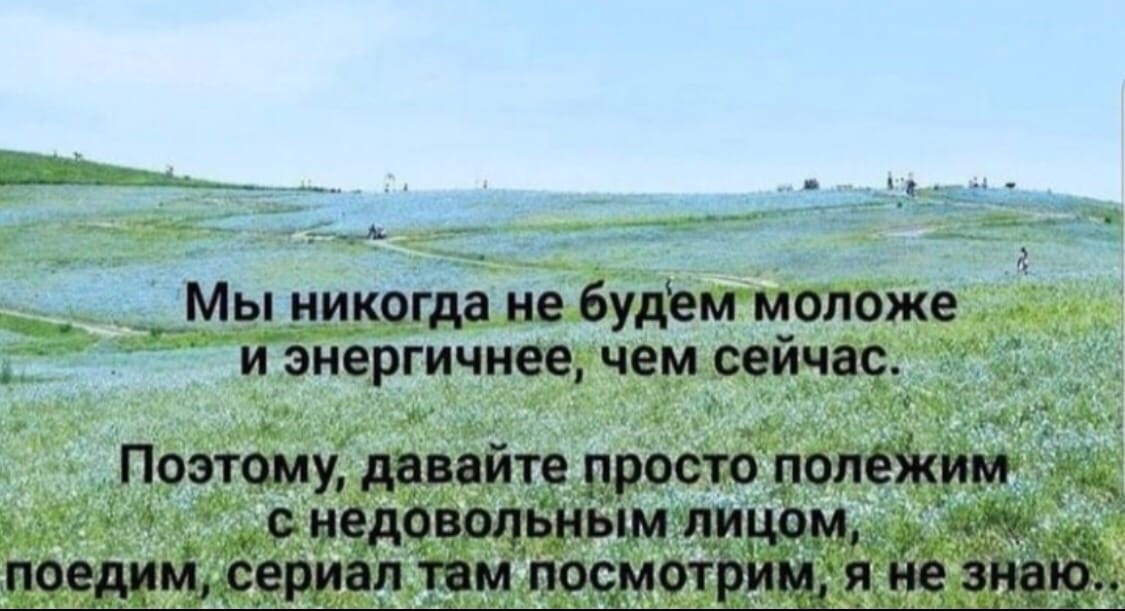 1510.jpg