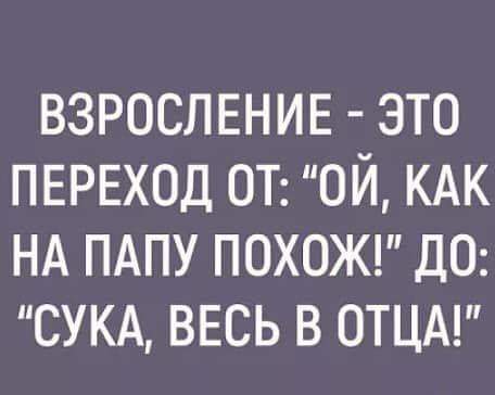 1034.jpg