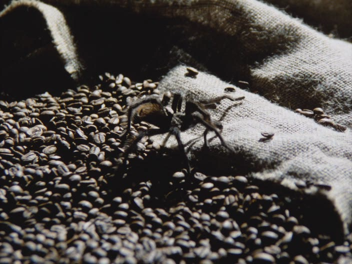 Tarantulas.The.Deadly.Cargo.1977.BDRip.avi_snapshot_00.55.32.png