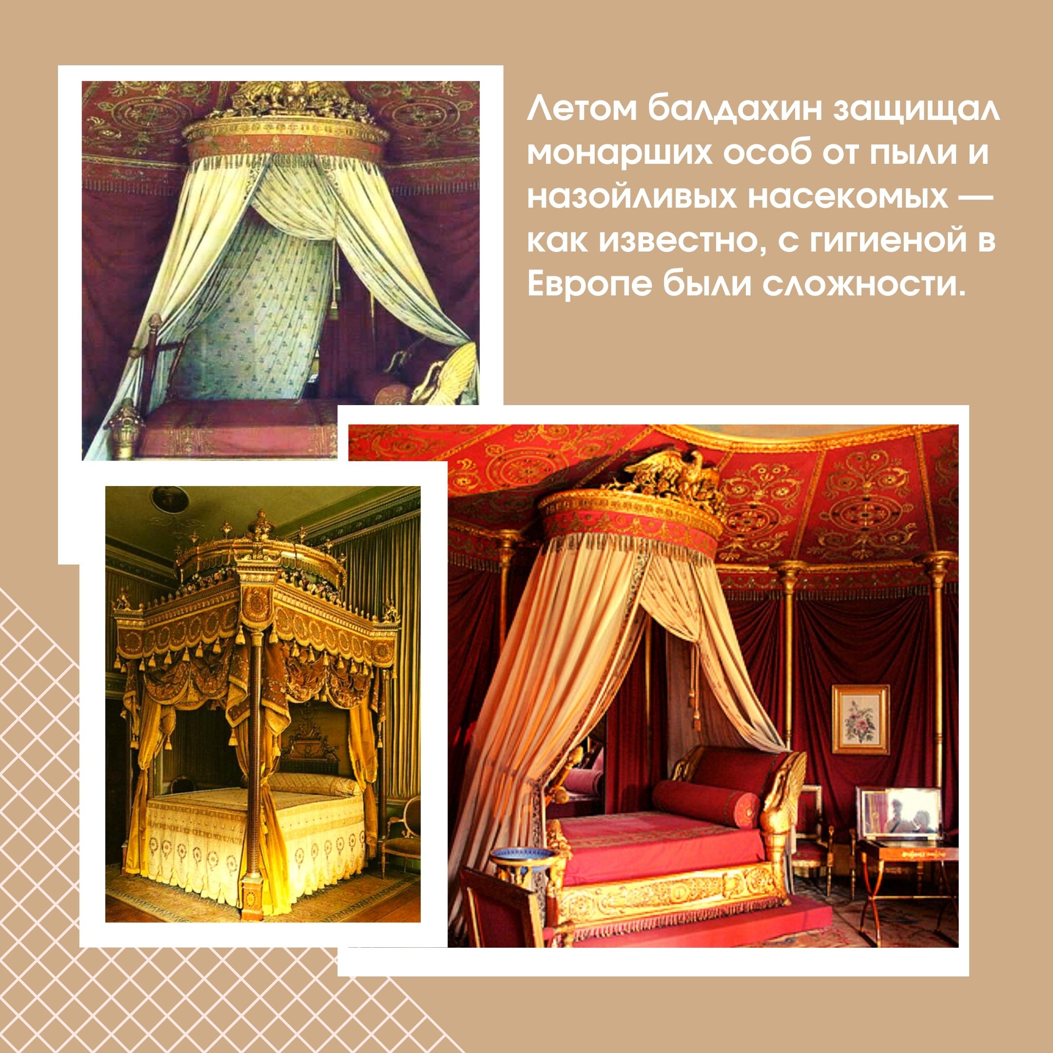4fef7c5051e829ed3336cd629989696d.jpg