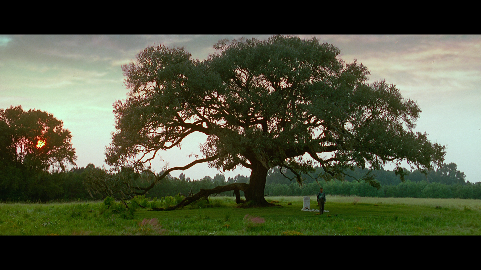 Forrest.Gump.1994.Paramount.Home.Entertainment.BDRemux.1080p.Remastered[(190641)08-10-59].PNG