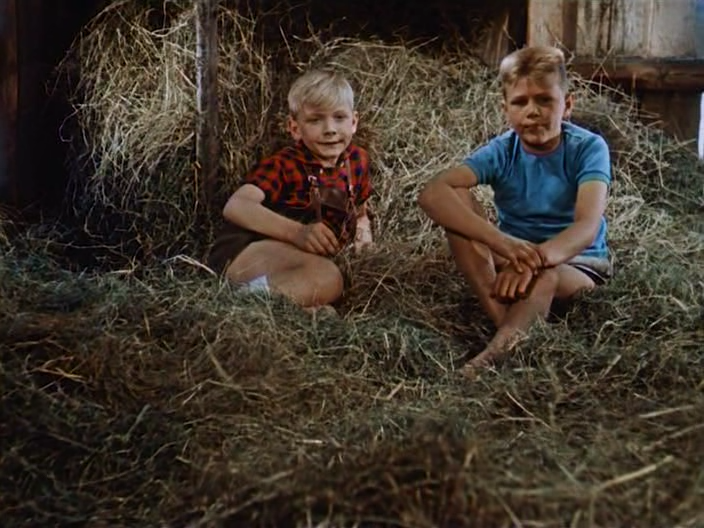 Abenteuer in Bamsdorf 1958 DVDRip.avi_snapshot_09.50.png