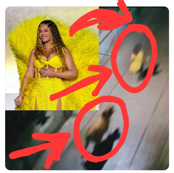 Beyonce Was Allegedly Chased By a Camel After Her Dubai Styles 7