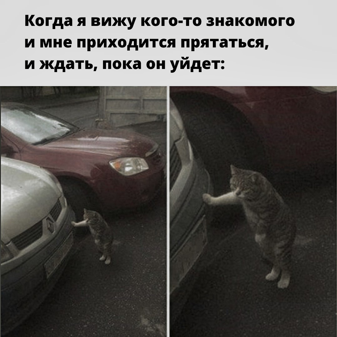 pnTvW37UYElw.jpg