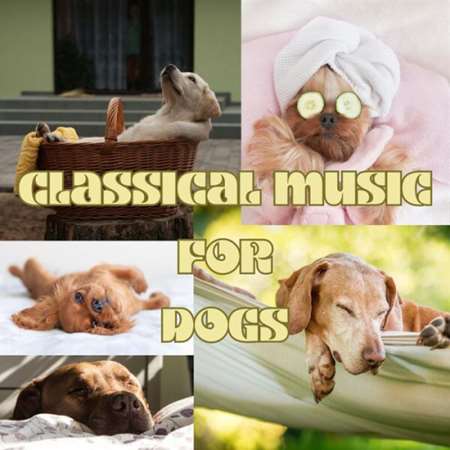 VA - Classical Music for Dogs (2023) MP3
