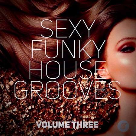 VA - Sexy Funky House Grooves Volume Three (2023) MP3