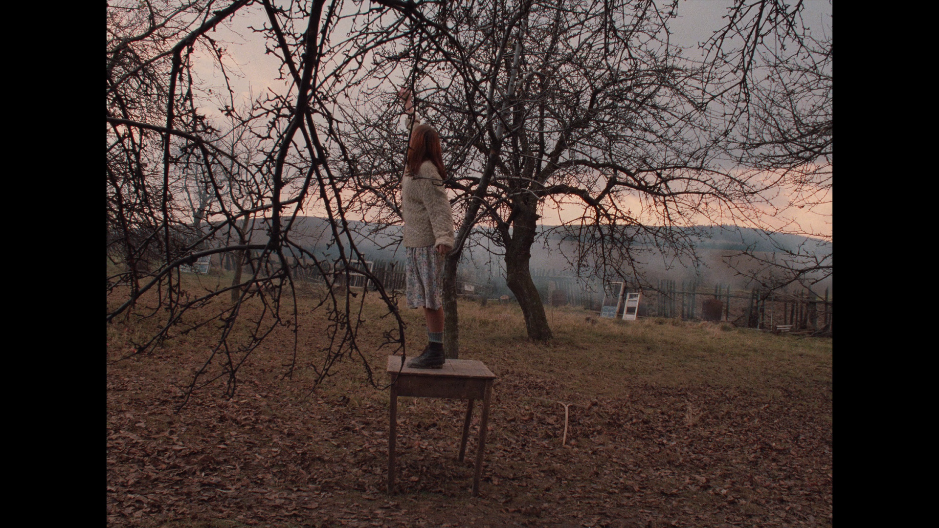 vlcsnap-2023-06-02-00h16m54s142.png