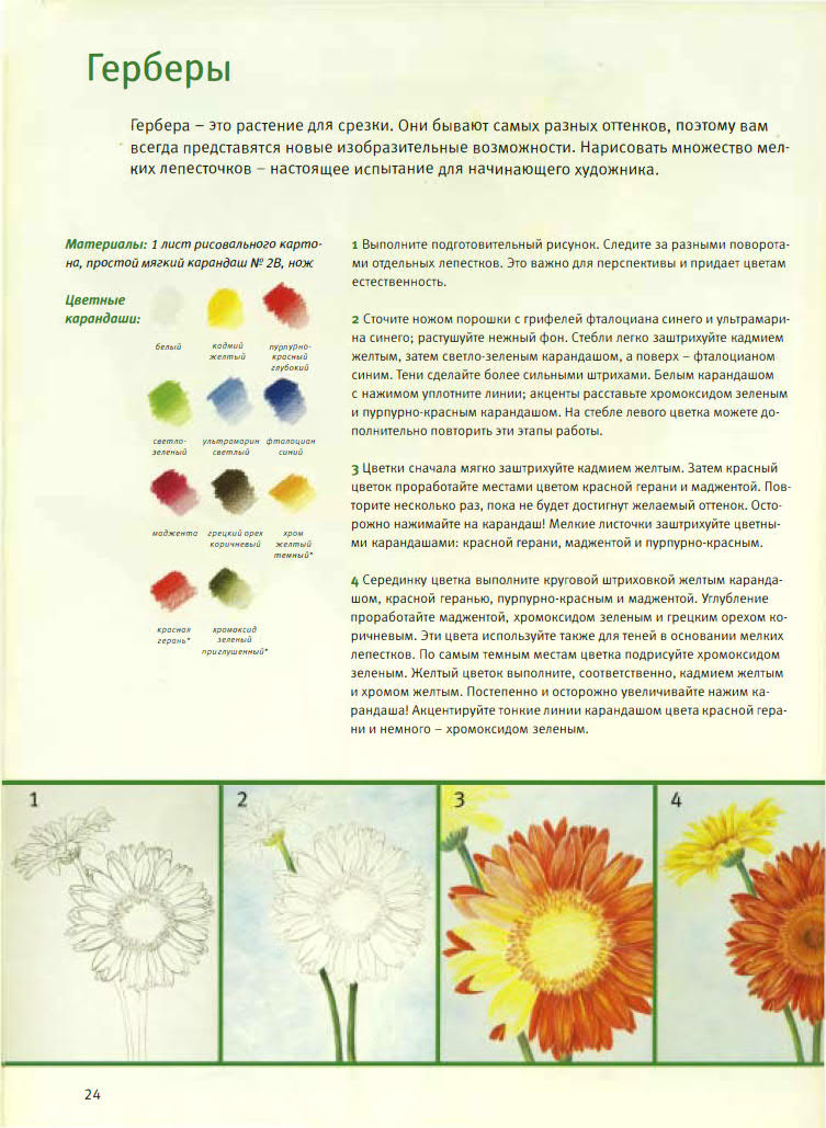 Кордула Керликовски - Основы рисования. Цветы и бутоны - 2008_24.jpg