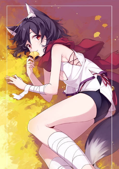 Shinka no Mi.jpg