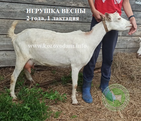 Игрушка Весны 2 Rabelle.jpg