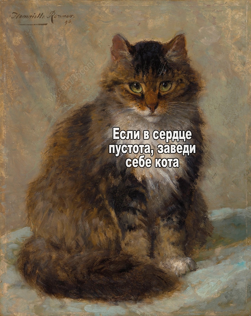 GUaqGUFXbQc.jpg