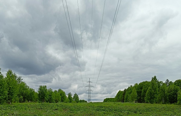 Энергетики расчистят от растительности 19 трасс ЛЭП в Коми и Архангельской области