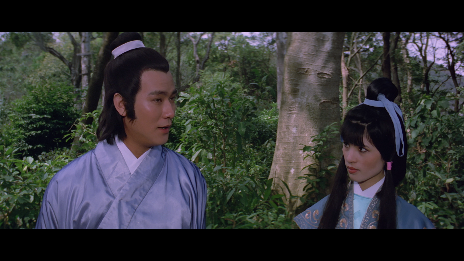 The.Battle.Wizard.1977.Shock.Entertainment.BDRemux.1080p[(018324)2023-08-27-11-36-43].PNG