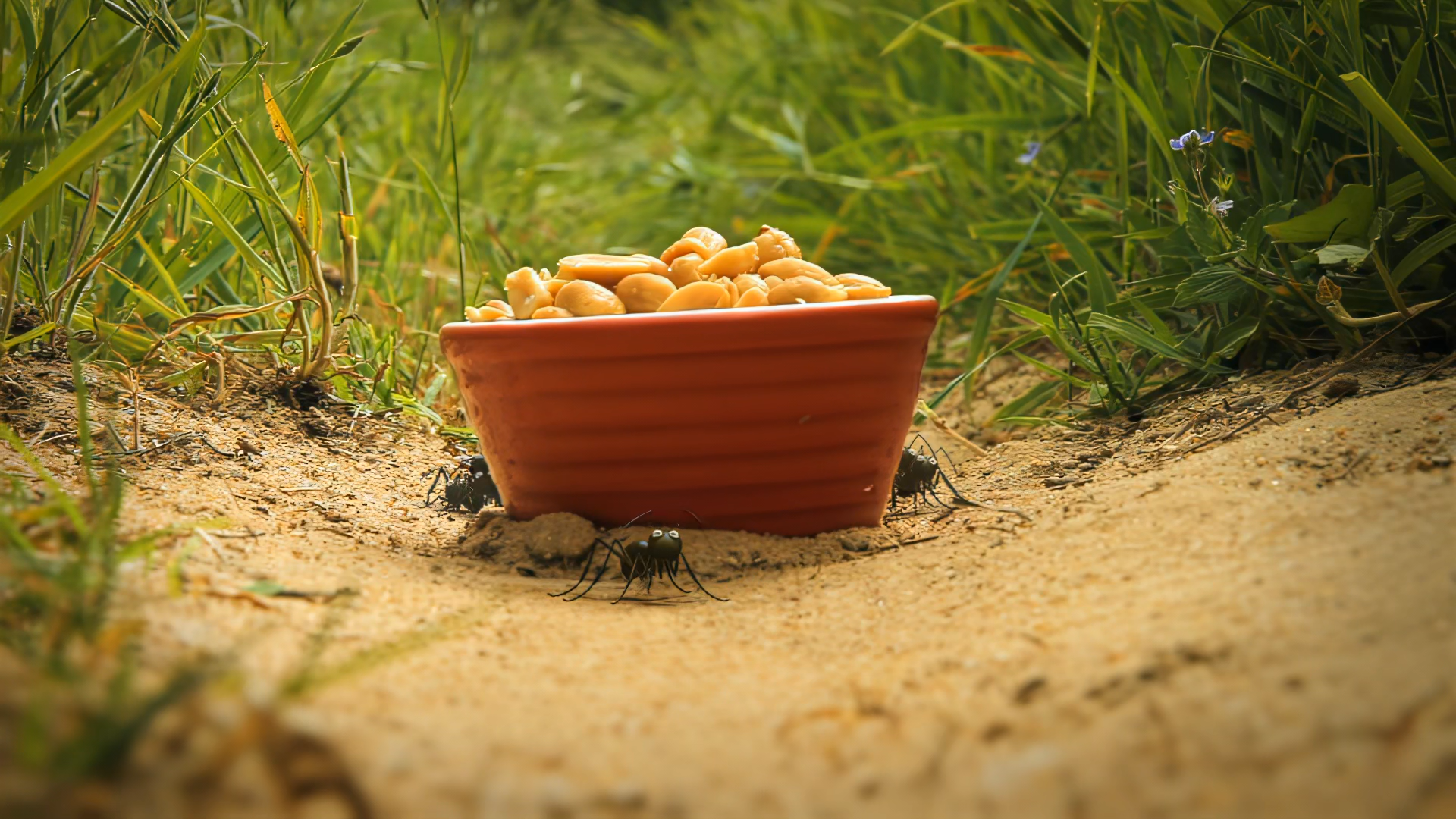 06.Sausage predator - Охотники за сосисками.mkv_snapshot_01.50_[2023.09.21_07.57.31].png