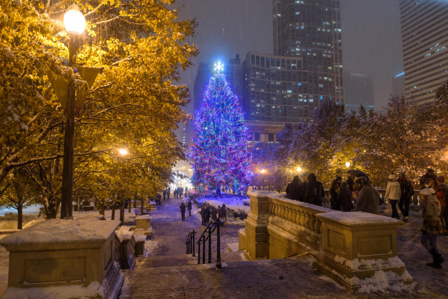 RP_CHRISTMAS-TREE-4-1-900x601.jpg