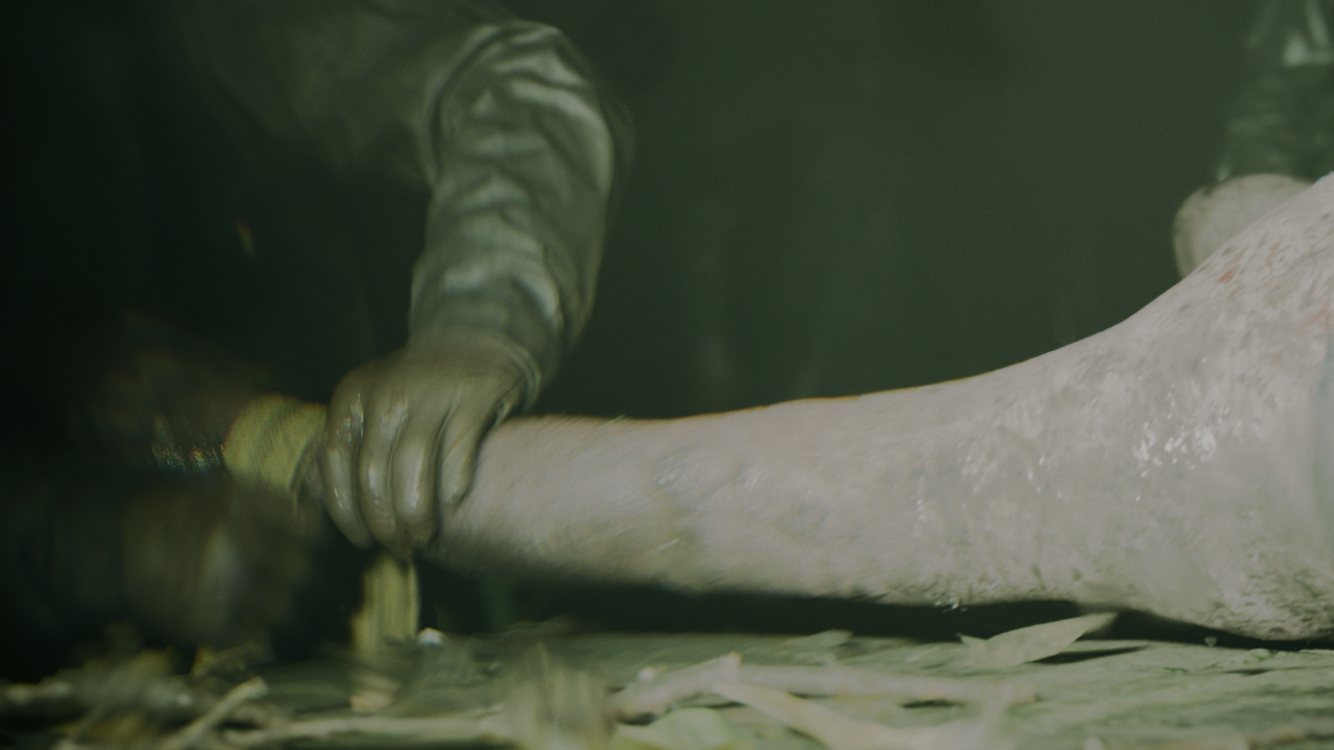 Alan Wake 2 27.10.2023 17_01_27.png