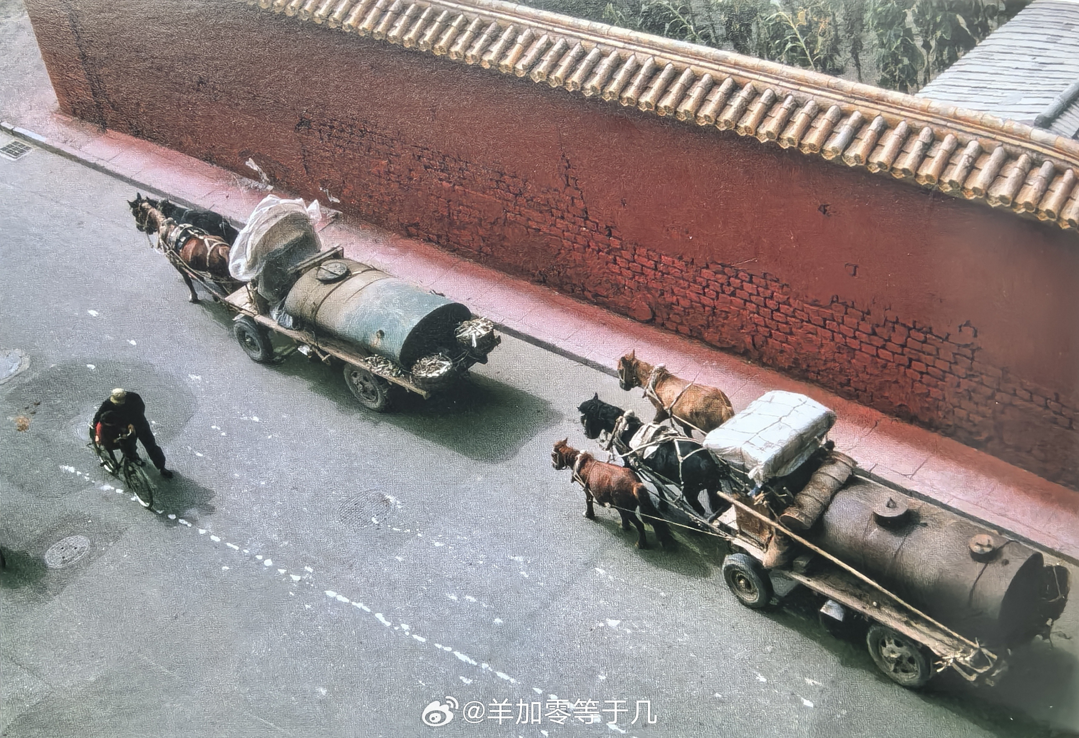 ?????????1971.jpg