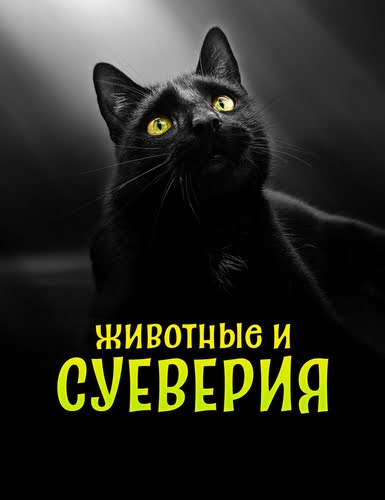 Cover.jpg
