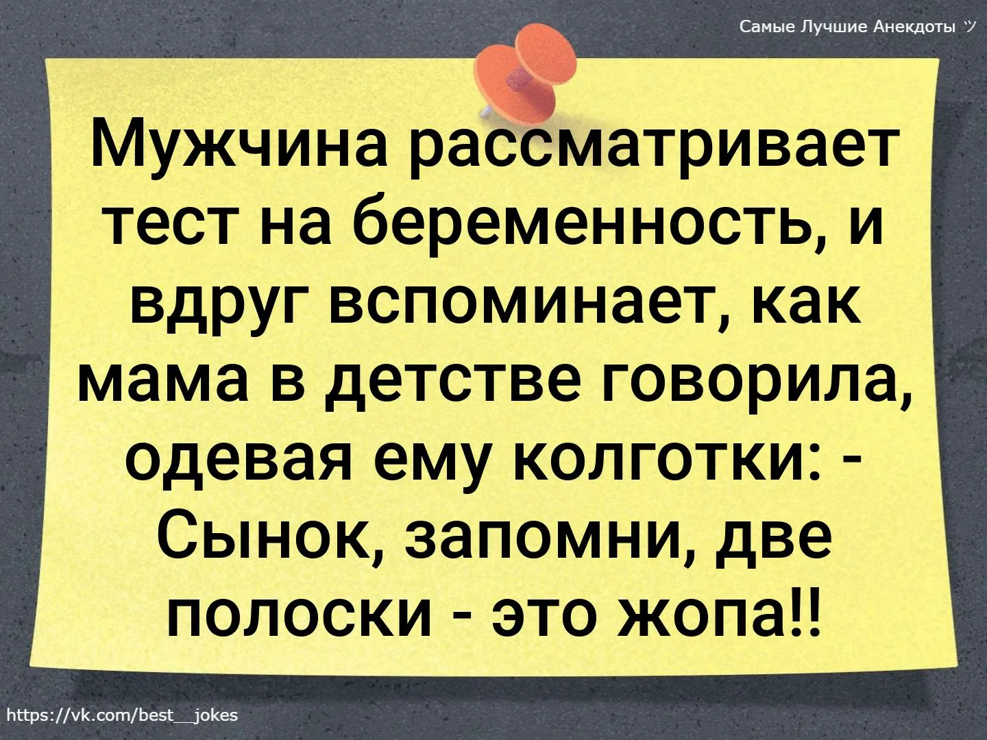 https://i3.imageban.ru/out/2024/02/25/a554dac1035154572b86ad04fcd74656.webp