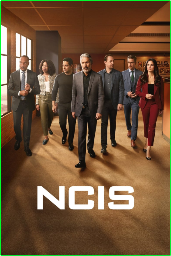 NCIS S21E03 INTERNAL [1080p] (x265) [6 CH] 3fbb57a7e34152933a5d3405793f203d