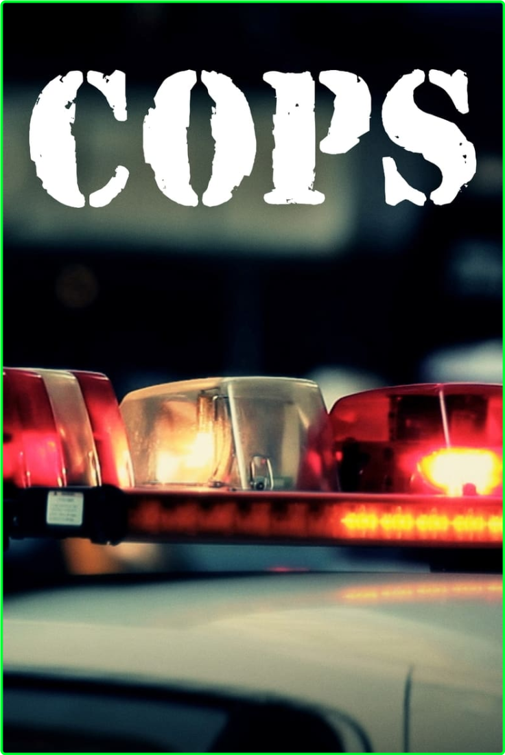 Cops S35E30 [1080p] (x265) 053a207ff215cf53ae2d4408766f6591