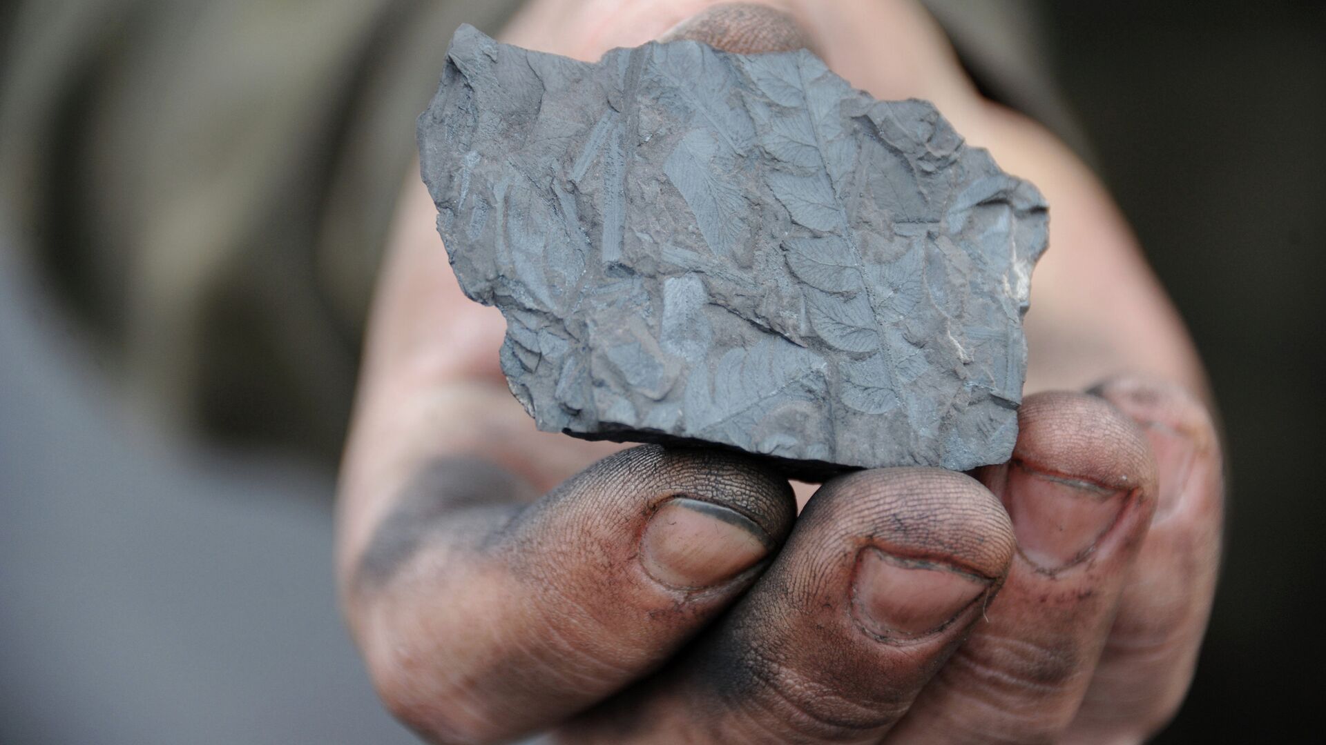 Добыча угля в Индии превысила один миллиард тонн
