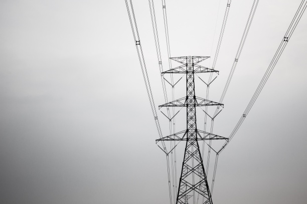 Энергетики «Россети Ленэнерго» пресекли более 830 случаев хищения электроэнергии за три месяца 2024 года
