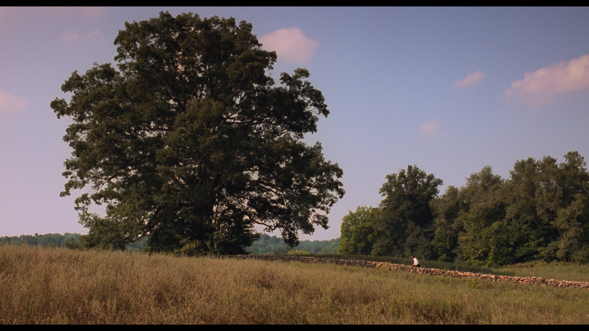 The.Shawshank.Redemption.1994.Warner Bros.BDRemux.1080p.Remastered[(191599)2024-07-07-09-35-57].PNG