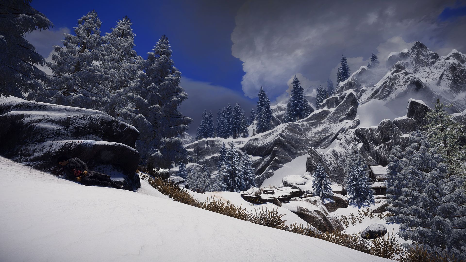 The Elder Scrolls V  Skyrim Special Edition Screenshot 2024.03.08 - 14.42.11.84.jpg