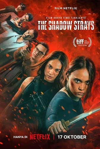 Блуждающая тень / The Shadow Strays (2024) WEB-DLRip 1080p