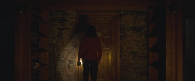 Oddity.2024.MVO.HDRip.mp4_snapshot_00.06.30_[2024.11.07_20.43.18].png
