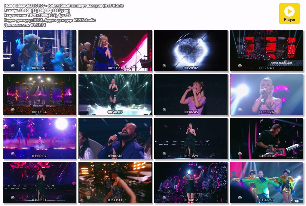 2024.01.07 - Юбилейный концерт Валерии (НТВ HD).ts.png