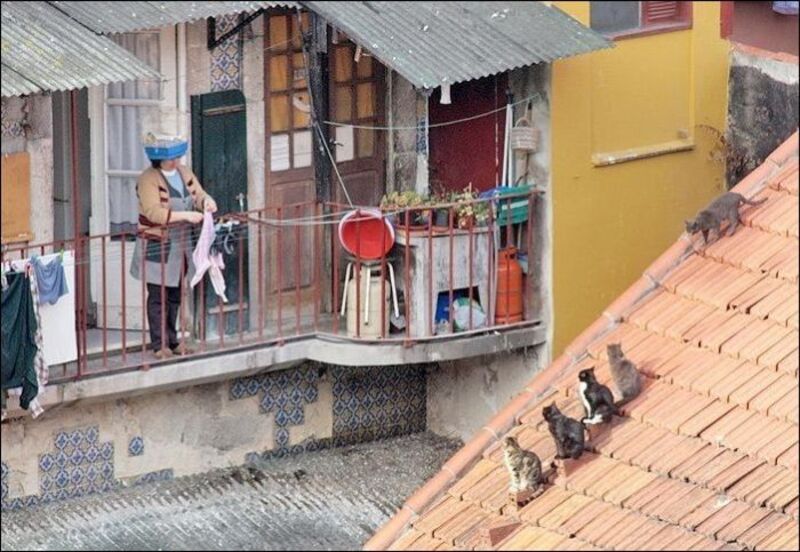 Шанхай, в китае упал 13-этажный дом. В китае упал дом. Дом упал. Шанхай, в китае упал 13-этажный дом. Дом не упал.