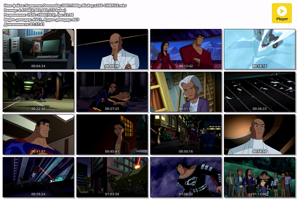 Superman.Doomsday.2007.1080p.BluRay.x264-CiNEFiLE.mkv.png