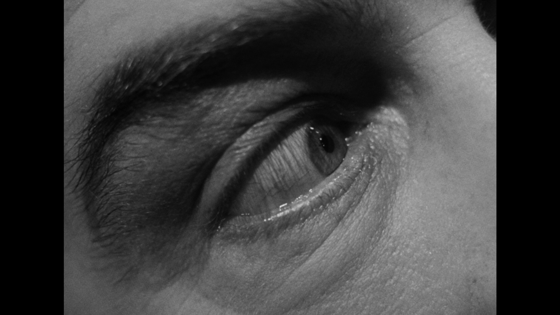 The.Lost.Weekend.1945.Kino.Lorber.BDRemux.1080p[(088430)2025-01-04-11-53-54].PNG