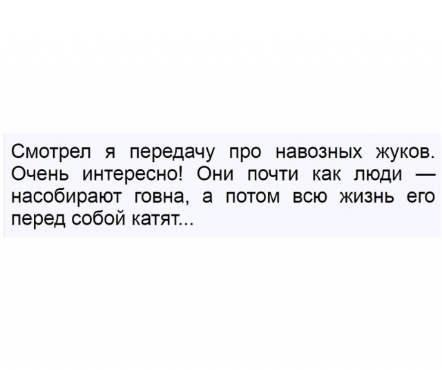 изображение_2025-01-10_185457365.png