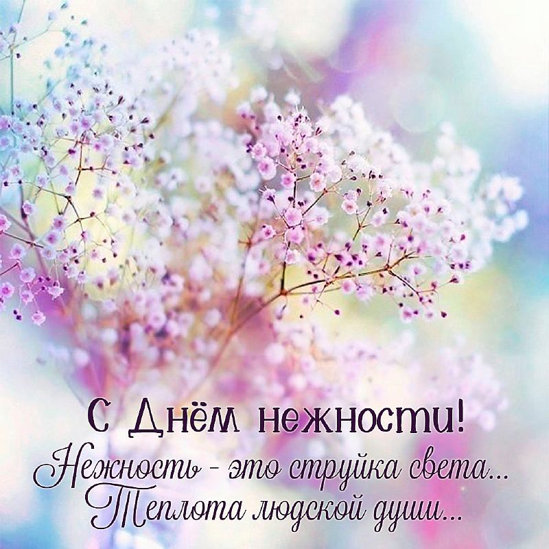 https://i3.imageban.ru/out/2025/02/03/d64c93b8f4812446d9506c52cf969af5.png